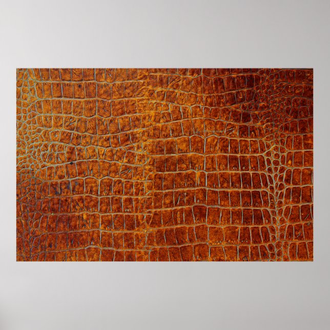 Affiche Vieil brun cuir animal texture (Devant)