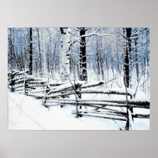 Affiche Vieille clôture