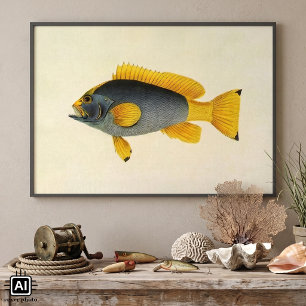 Affiche Vieille illustration de mérou bleu et jaune, Vie m