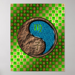 Affiche Vierge et rat d'eau