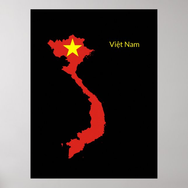 Affiche Viêt Nam (Devant)