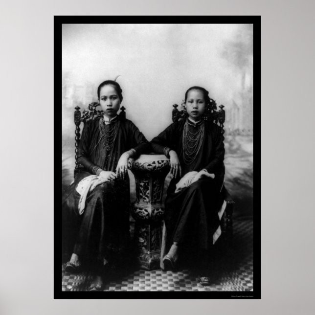 Affiche Vietnamiennes 1903 (Devant)