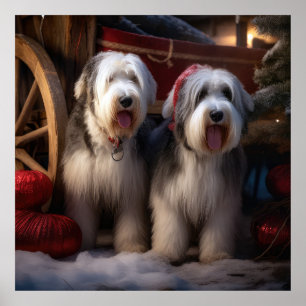 Affiche Vieux chien de berger anglais enneigé Noël décorat