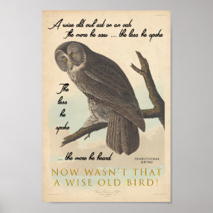 Affiche Vieux hibou sage