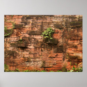 Affiche Vieux mur de brique cassé