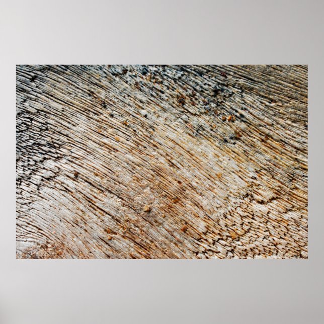 Affiche Vieux parquet abstrait, appartement, architecture, (Devant)