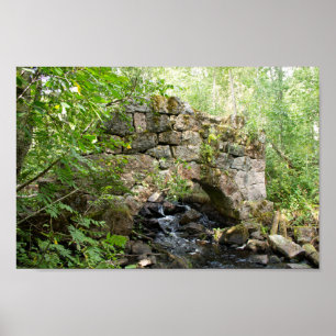 Affiche Vieux pont détruit dans la forêt