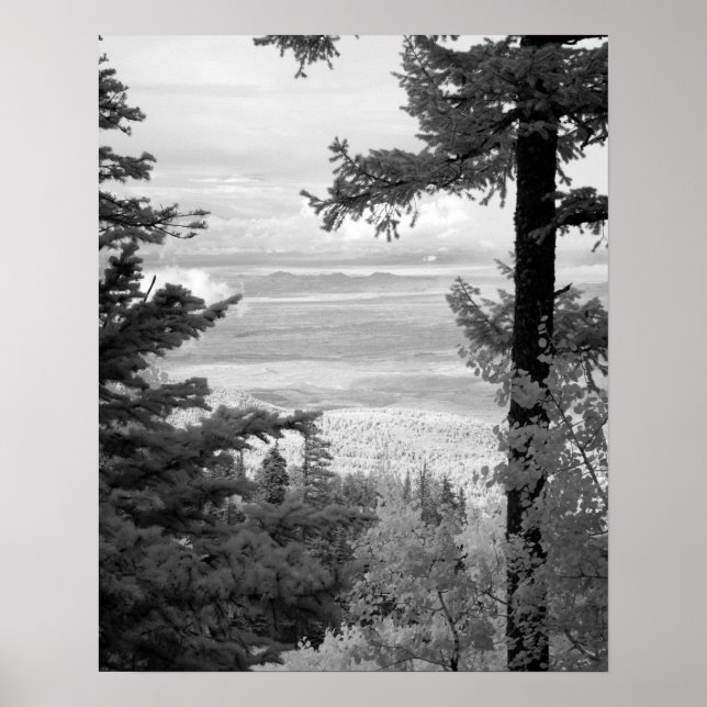 Affiche View west from crest of Sandia, Mountains, (Devant)