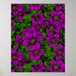 Affiche Vigne Clematis rose
