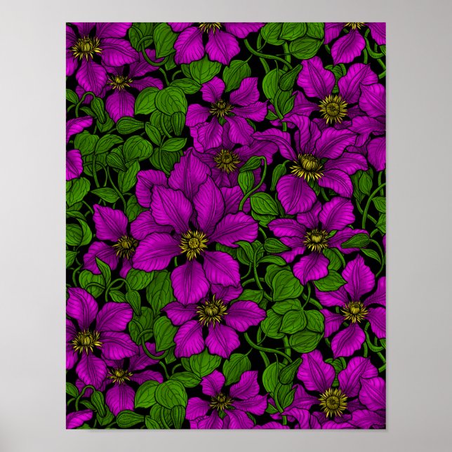 Affiche Vigne Clematis rose (Devant)