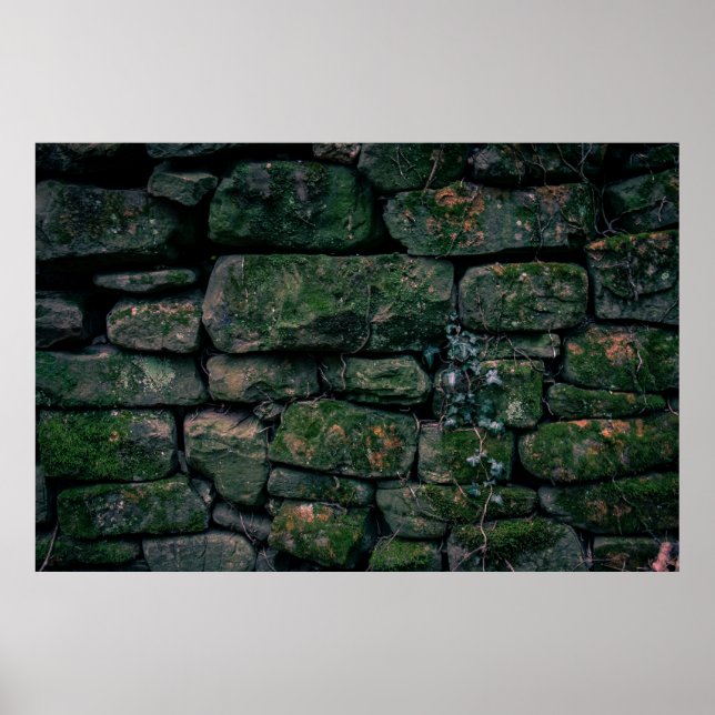 Affiche Vignes Brown sur blocs de pierre empilés (Devant)