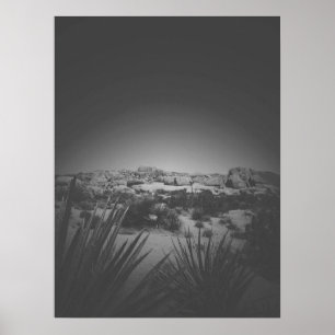 Affiche Vignette Noir et Blanc Joshua Tree Desert Scene