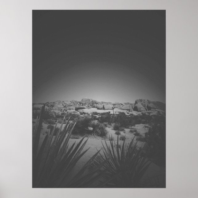 Affiche Vignette Noir et Blanc Joshua Tree Desert Scene (Devant)