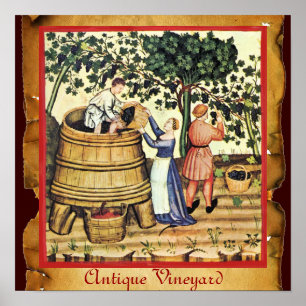 AFFICHE VIGNOBLE DE VIGNE ANTIQUE RÉCOLTE PARCHEMIN