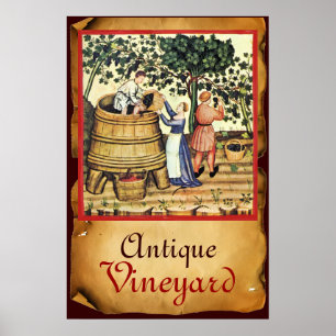AFFICHE VIGNOBLE DE VIGNE ANTIQUE RÉCOLTE PARCHEMIN