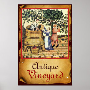 AFFICHE VIGNOBLE DE VIGNE ANTIQUE RÉCOLTE PARCHEMIN
