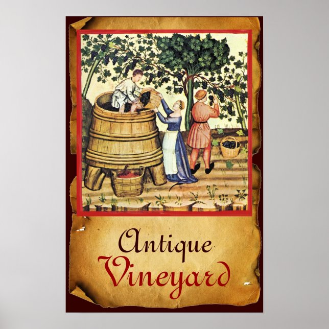 AFFICHE VIGNOBLE DE VIGNE ANTIQUE RÉCOLTE PARCHEMIN (Devant)