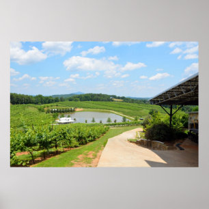 Affiche Vignoble en Géorgie du Nord Pays des Vins