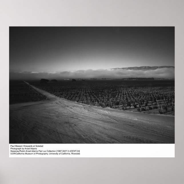 Affiche Vignoble Paul Masson à Soledad par Ansel Adams (Devant)