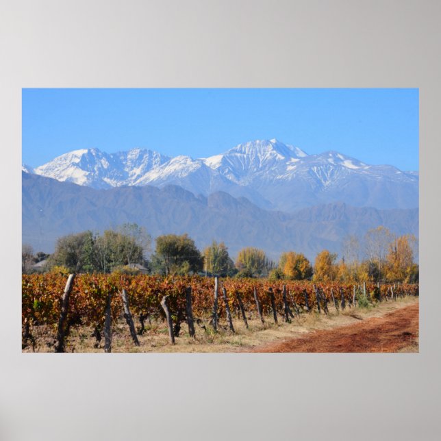 Affiche Vignobles À L'Automne De Mendoza, Argentine (Devant)