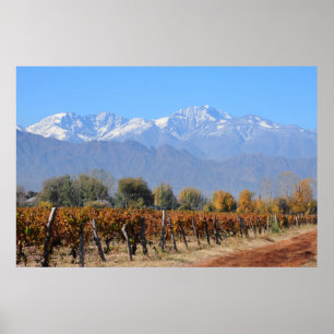Affiche Vignobles en automne de Mendoza, Argentine