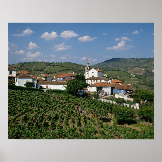 Affiche Vignobles, village de San Miguel, Douro (Devant)