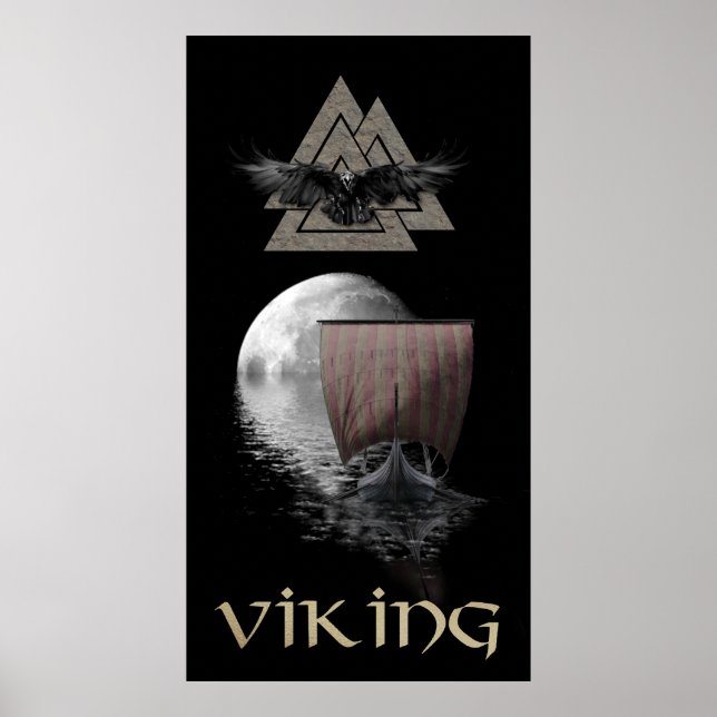 Affiche Viking Warrior (Devant)
