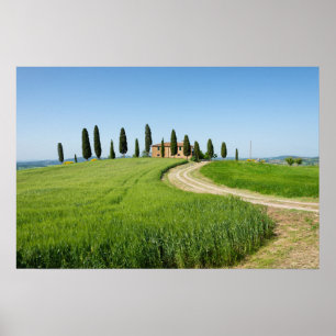 Affiche Villa de ferme avec cyprès en Toscane