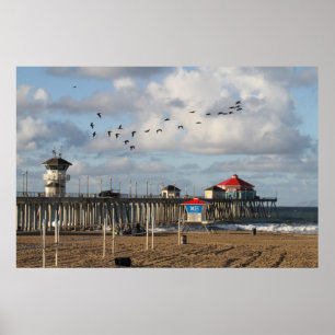 Affiche Ville de surf