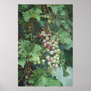 Affiche Vin de raisin réaliste avec Feuille - Art
