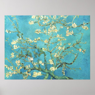 Affiche Vincent van Gogh Amandier en fleurs