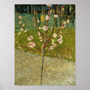 Affiche Vincent van Gogh - Amandier en fleurs