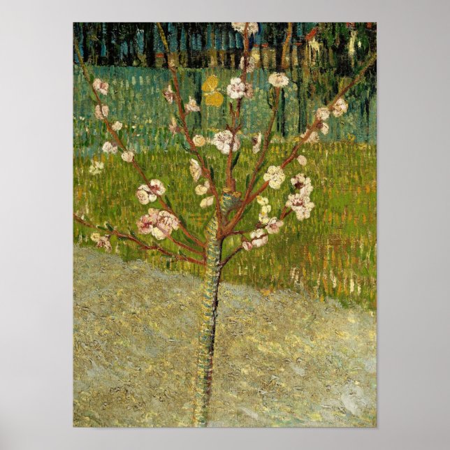 Affiche Vincent van Gogh - Amandier en fleurs (Devant)