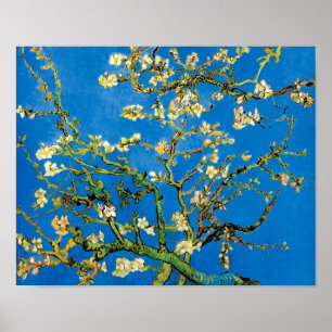 Affiche Vincent Van Gogh - Amandier en Fleurs Beaux-Arts