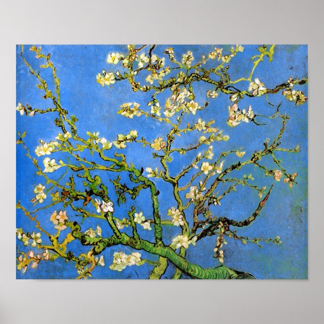 Affiche Vincent Van Gogh - Amandier en Fleurs Beaux-Arts (Devant)