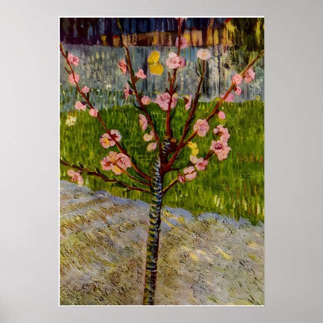 Affiche Vincent Van Gogh art (Devant)