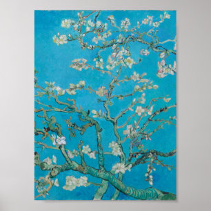 Affiche Vincent Van Gogh - Branches aux amandes en fleurs,