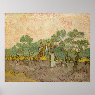 Affiche Vincent van Gogh - Femmes cueillant des olives