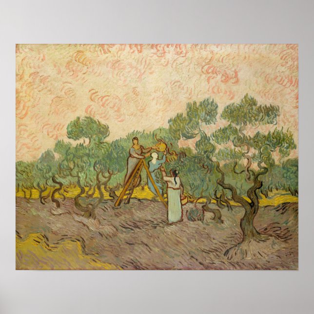 Affiche Vincent van Gogh - Femmes cueillant des olives (Devant)