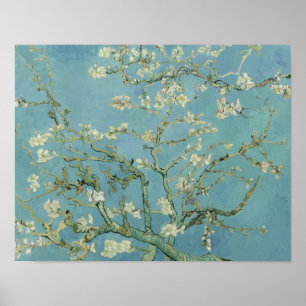 Affiche Vincent van Gogh - Fleur d'amandes