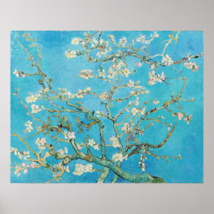 Affiche Vincent van Gogh - Floraison des amandiers