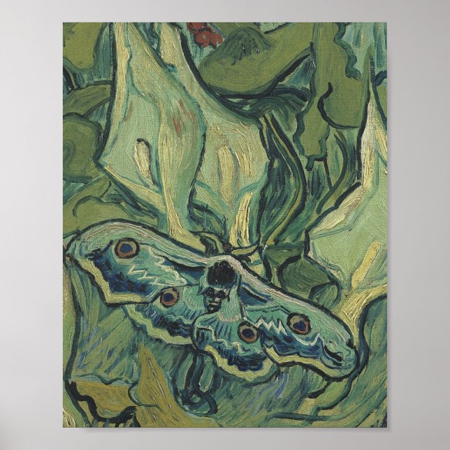 Affiche Vincent Van Gogh - Grand Moth Peacock (Devant)