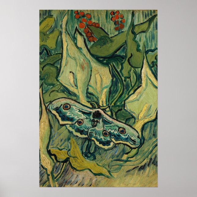 Affiche Vincent van Gogh - Grand Paon de Nuit (Devant)