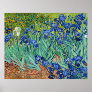 Affiche Vincent Van Gogh - Iris