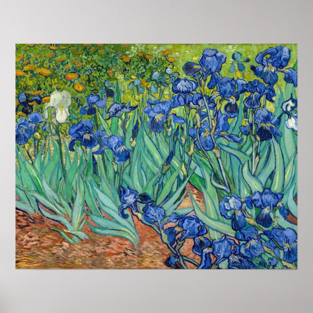 Affiche Vincent Van Gogh - Iris (Devant)