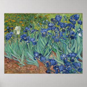 Affiche Vincent Van Gogh Irises