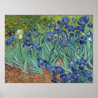 Affiche Vincent Van Gogh Irises