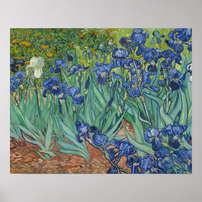 Affiche Vincent van Gogh - Irises (Devant)