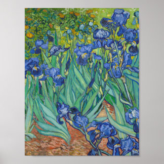 Affiche Vincent Van Gogh - Irises