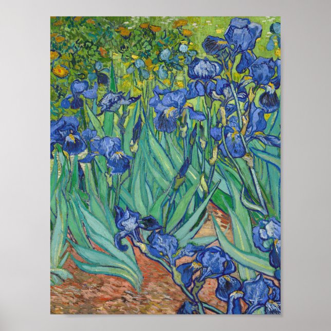 Affiche Vincent Van Gogh - Irises (Devant)